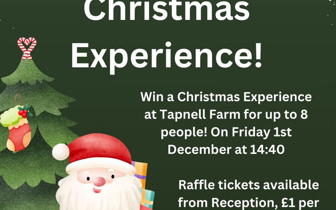 WIN a Tapnell Farm Christmas Experience