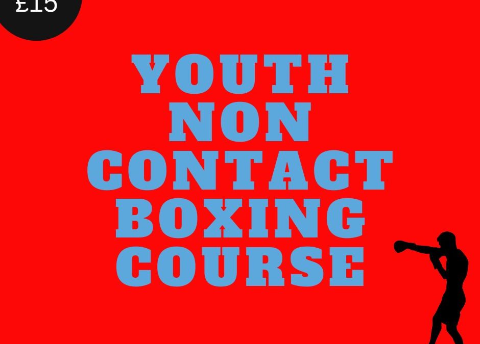 Youth Non Contact Boxing Course