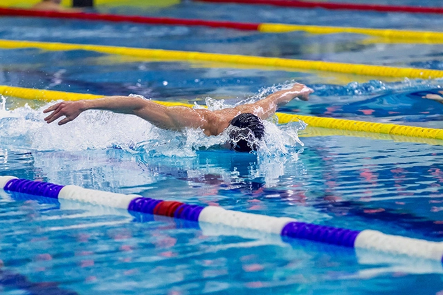 West Wight Swimming Club Image A man swimming butterfly stroke