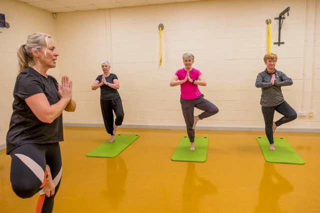 Yoga (1) yoga class doing the tree position on mats