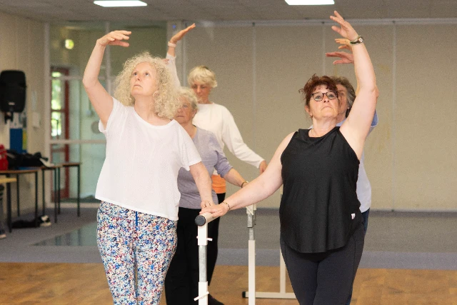 Ballet (18) A group of class attendees complete ballet moves