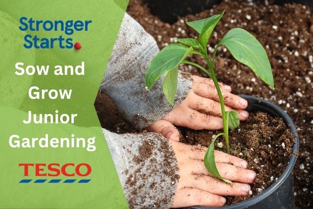 Sow and Grow Sow and Grow Project