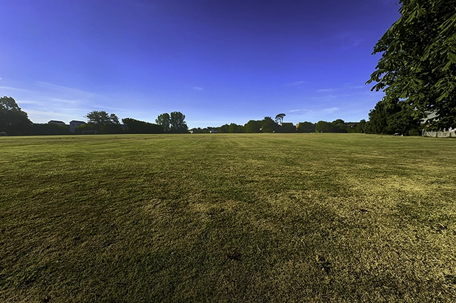 Jubilee field A wide, grassy field stretches towards a distant treeline under a clear blue sky. Houses and trees are visible in the background, with a large tree branch in the foreground on the right.