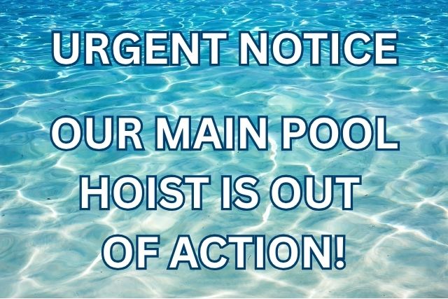 Pool Hoist (1) Pool Hoist